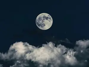 Did You Hear About The Restaurant On The Moon?