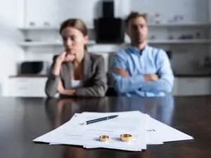 What animals have the highest divorce rates?