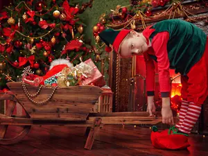 What Do Elves Learn In School?