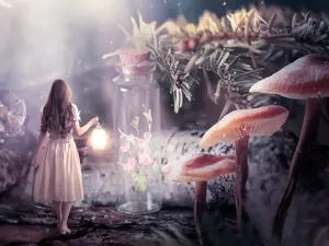 What Do Fairies Always Drink?