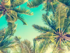 What Do Ghosts Turn On In Summer?