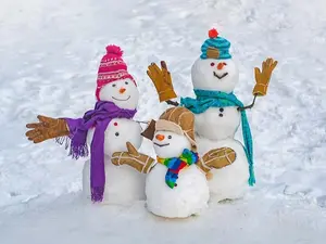 What Do Snowmen Eat For Lunch?