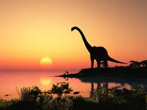 What do you call a blind dinosaur?