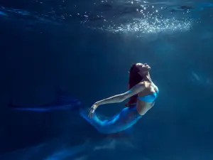 What's a mermaid's favorite TV show?