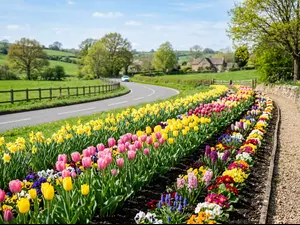 Where should you plant flowers by the road?