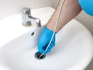Which actor is a pro at unclogging a drain?