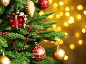 Which celebrity always had the most beautiful Christmas trees?