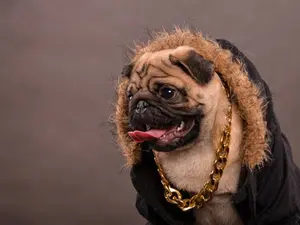 Why does Snoop Dogg always have an umbrella with him?