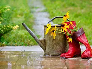 Why is summer always sad?